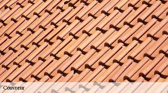 Couvreur Pyrénées-Atlantiques