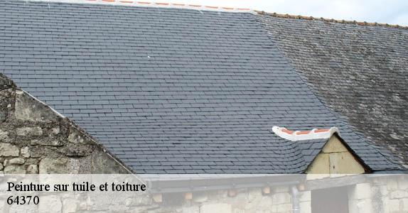 Peinture sur tuile et toiture  64370