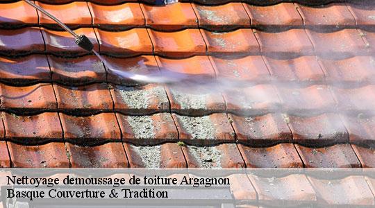 Nettoyage demoussage de toiture argagnon-64300 Basque Couverture & Tradition