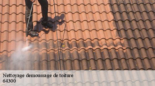 Nettoyage demoussage de toiture 64300