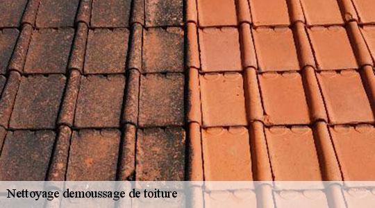 Nettoyage demoussage de toiture 64300