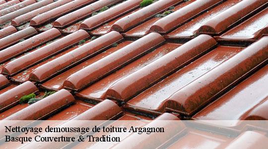 Nettoyage demoussage de toiture 64300