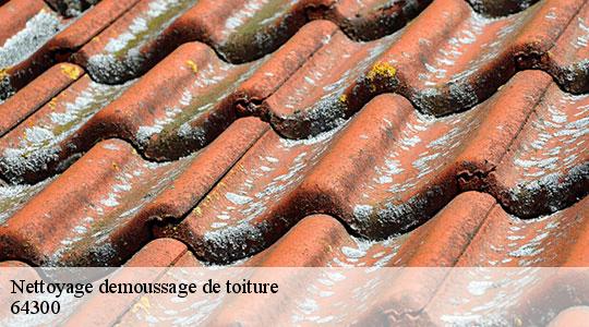 Nettoyage demoussage de toiture 64300