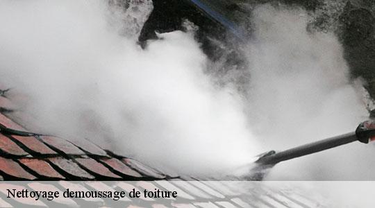 Nettoyage demoussage de toiture 64300