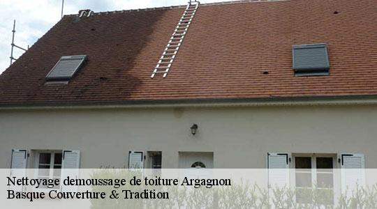 Nettoyage demoussage de toiture 64300