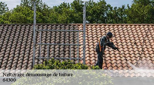 Nettoyage demoussage de toiture 64300