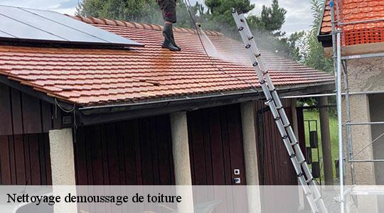 Nettoyage demoussage de toiture 64300